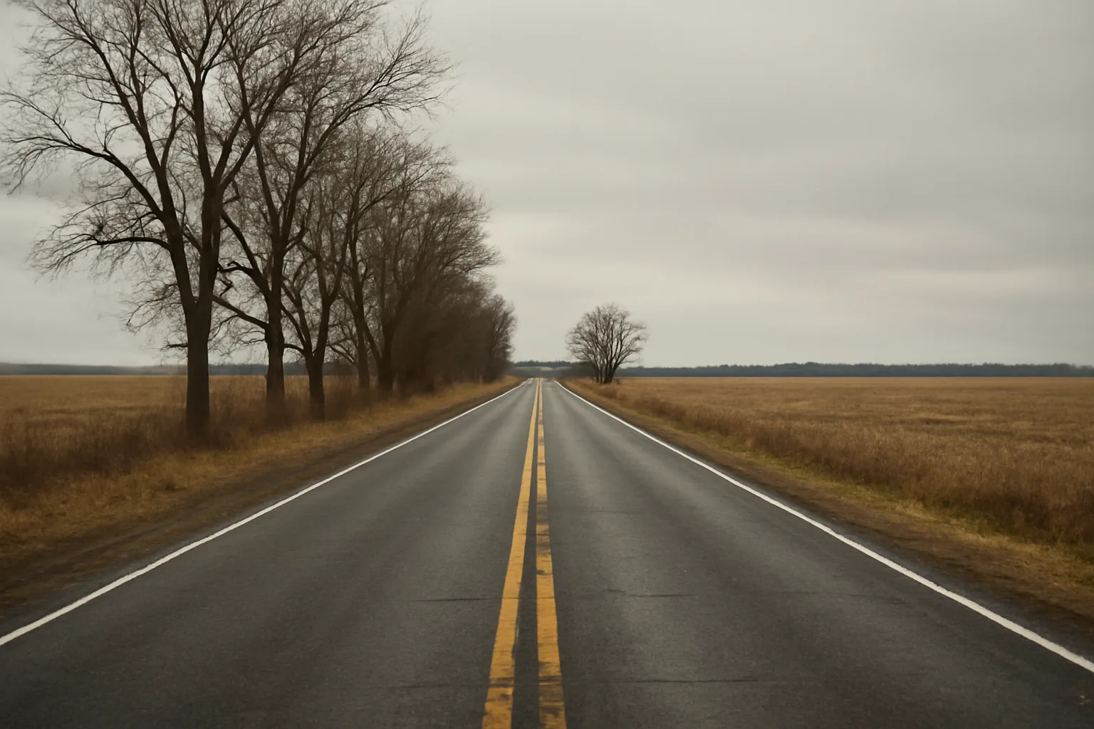 Empty Delaware country road under gray sky, representing the legal void for human composting